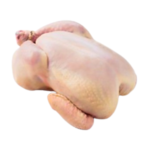 Fresh Hard Chicken - Halal