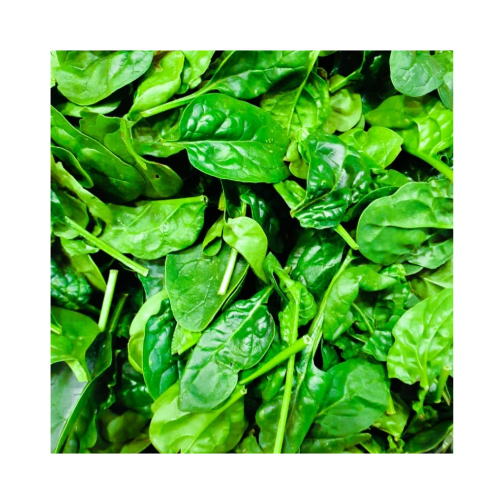 fresh-spinach Fresh Spinach - Image 1