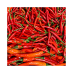 Red Chilli Pepper