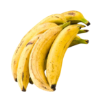 Yellow Plantain