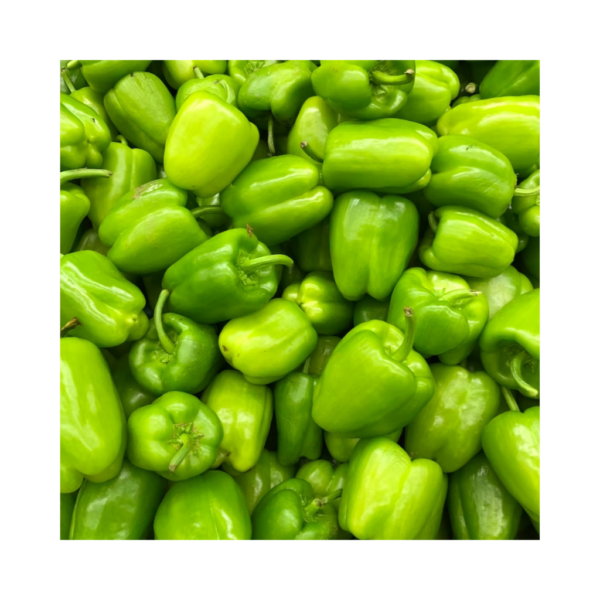Green Bell Pepper