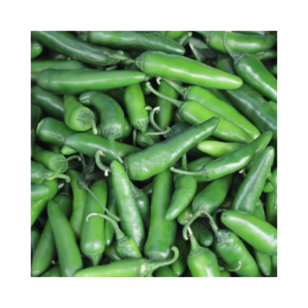 Green Chilli Pepper
