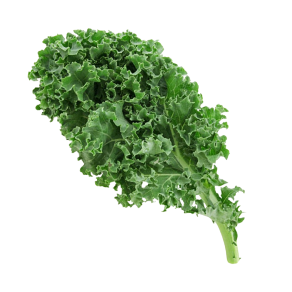 Green Kale