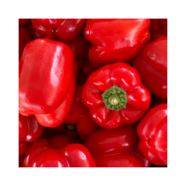 Red Bell Pepper