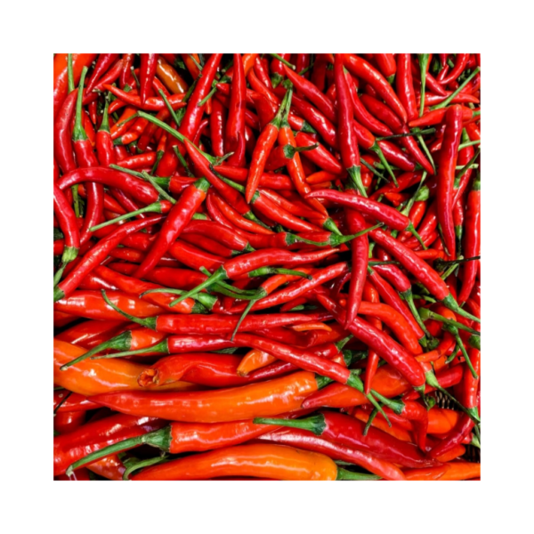 Red Chilli Pepper